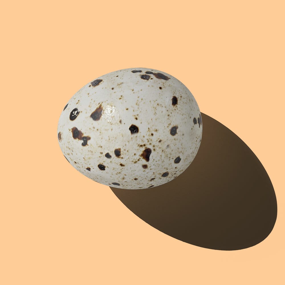 Free Quail Egg Mockup Top View PSD