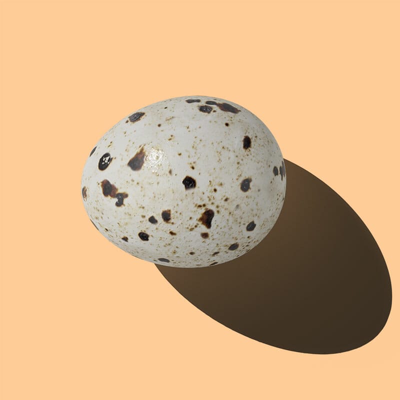 Free Quail Egg Mockup Top View PSD