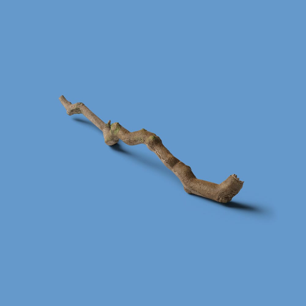 Free Branch Mockup Isometric PSD