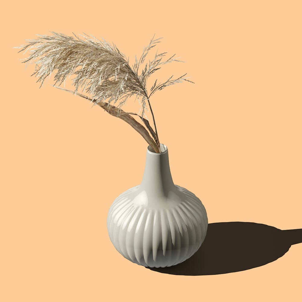 Free Dry Plant In Vase Mockup PSD