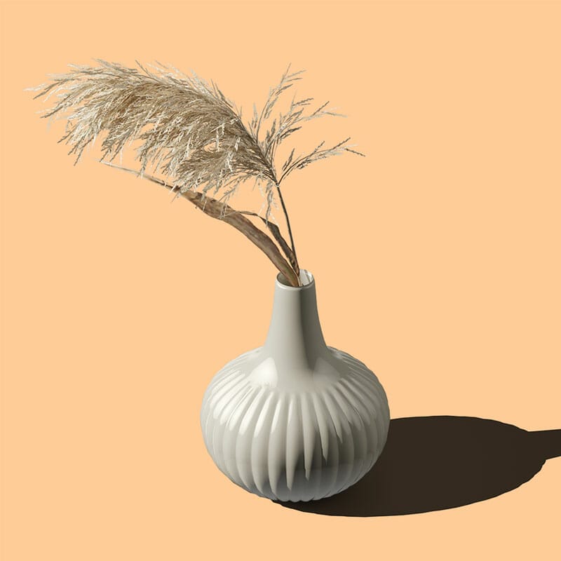 Free Dry Plant In Vase Mockup PSD