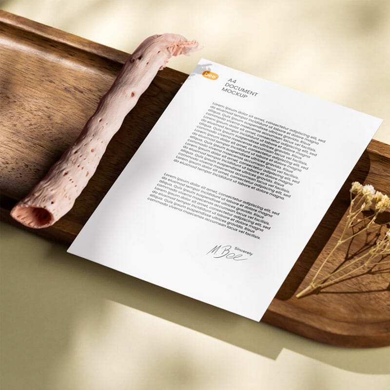 Free Perspective Letterhead Mockup PSD