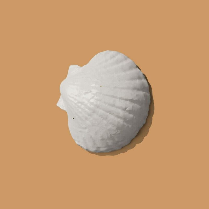 Free Shell Front View Mockup PSD » CSS Author
