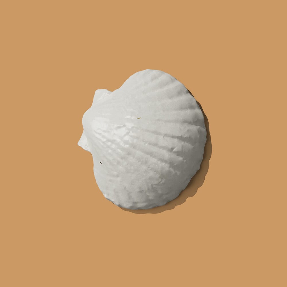 Free Shell Front View Mockup PSD