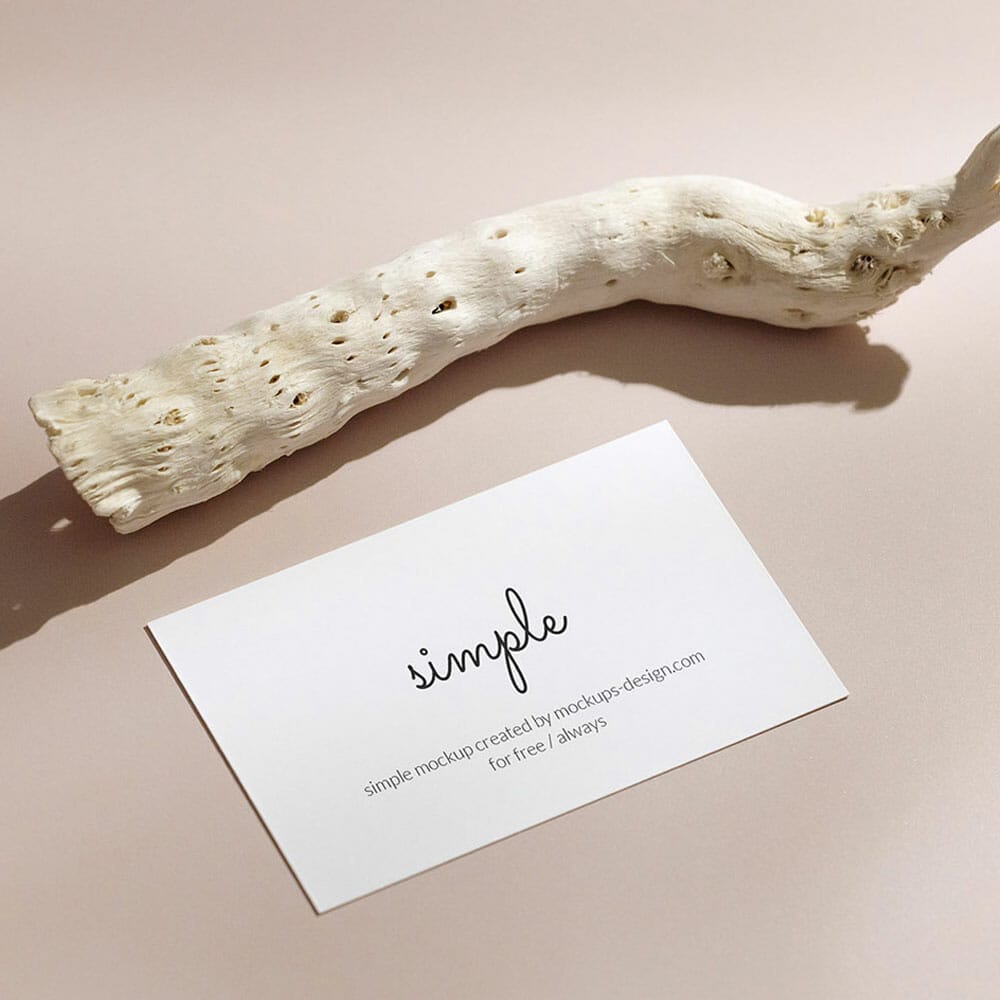 Free Business Card With Dried Plant Mockup PSD