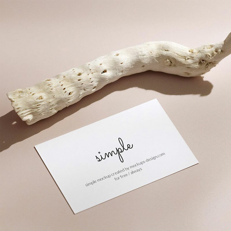 Free Business Card With Dried Plant Mockup PSD