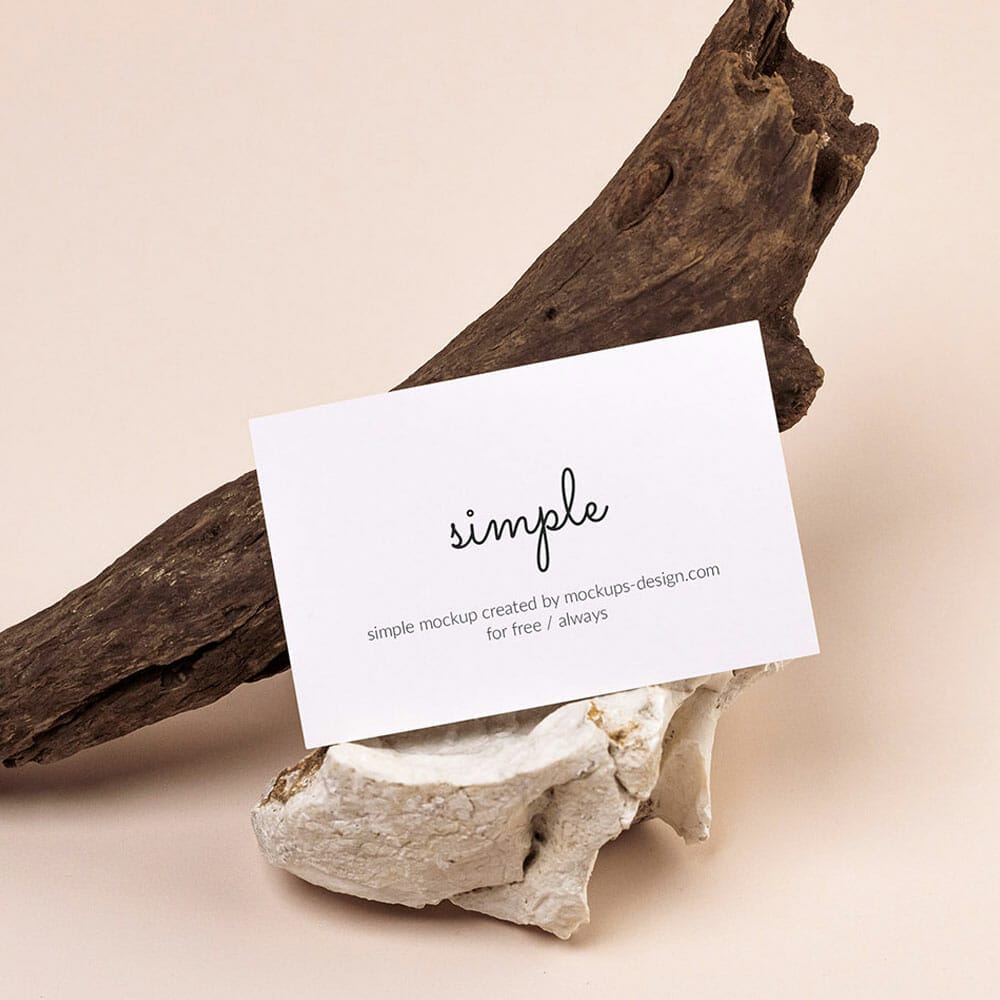 Free Business Card With Dried Wood Mockup PSD