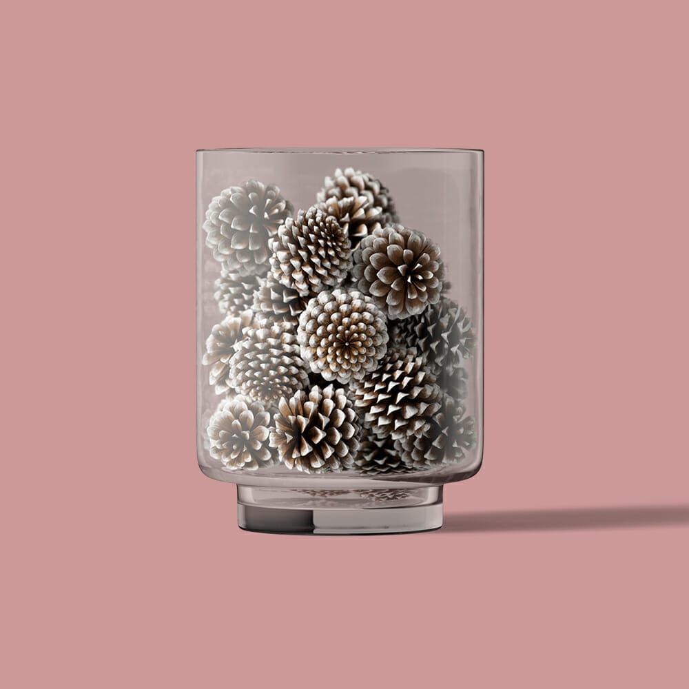 Free Cones In Cup Front View Mockup PSD