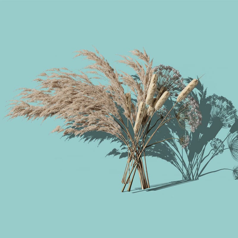 Free Decorative Plant Front View Mockup PSD