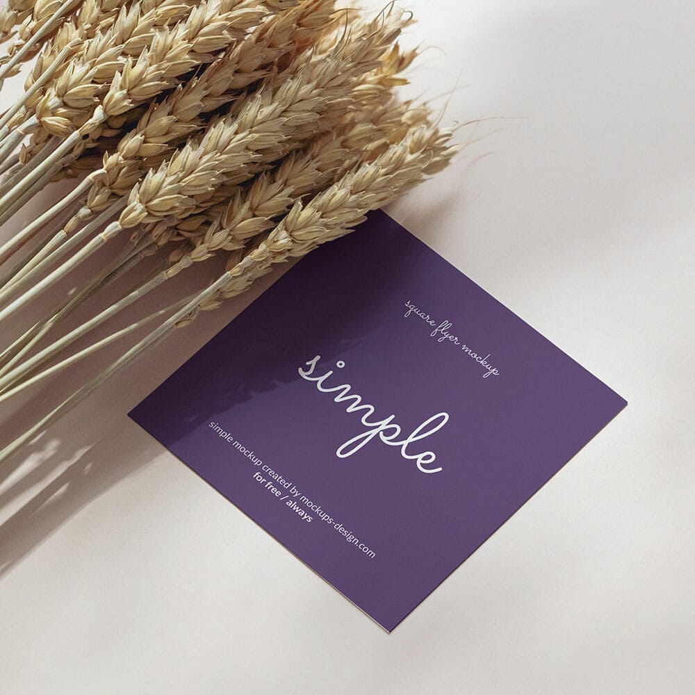 Free Square Flyer With Dried Wheat Mockup PSD