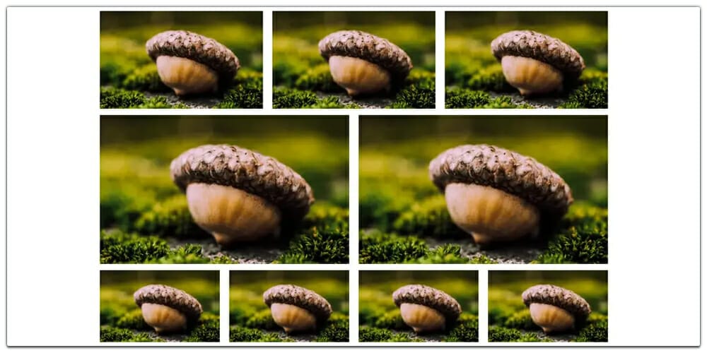 Bootstrap 5 Responsive Image Gallery