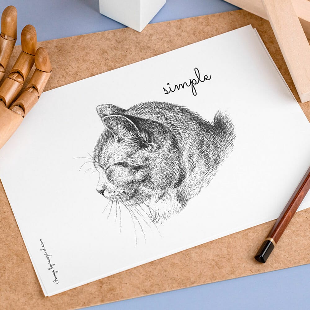 Free Drawing Mockup PSD