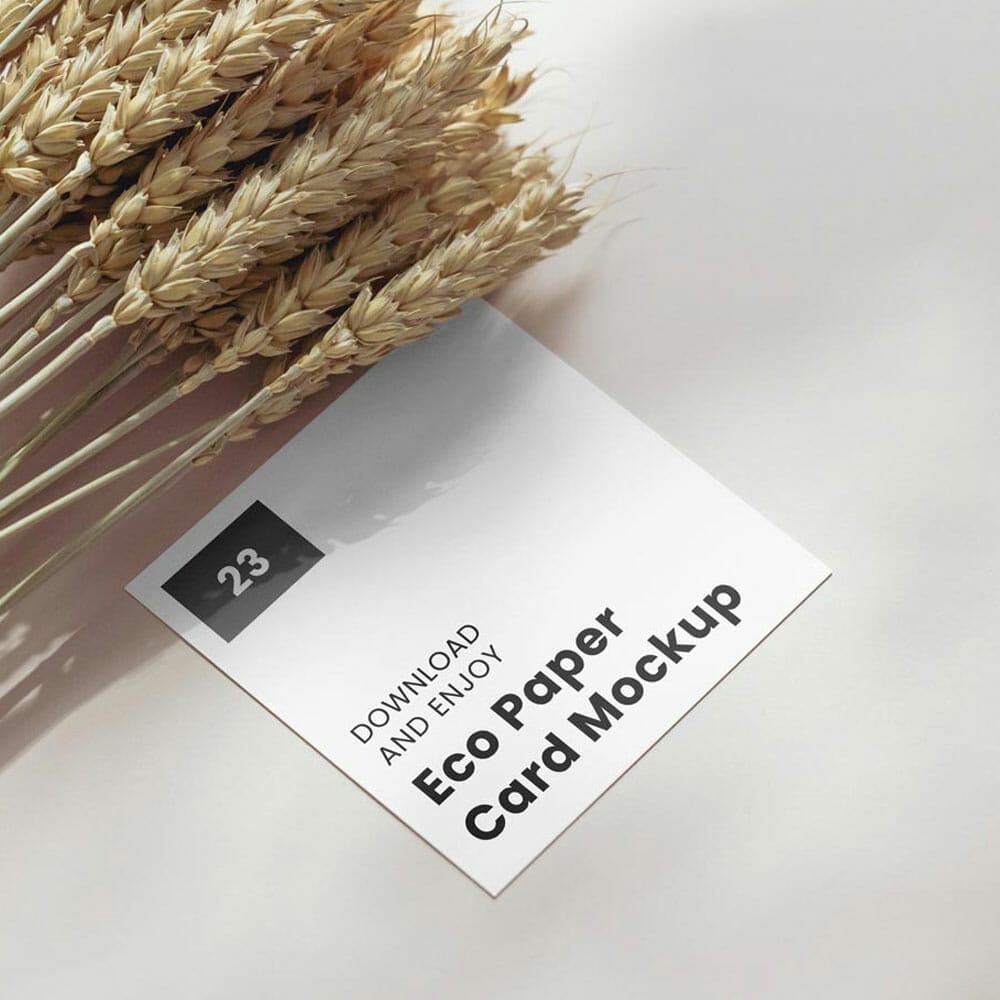 Free Square Card With Cereal Mockup PSD
