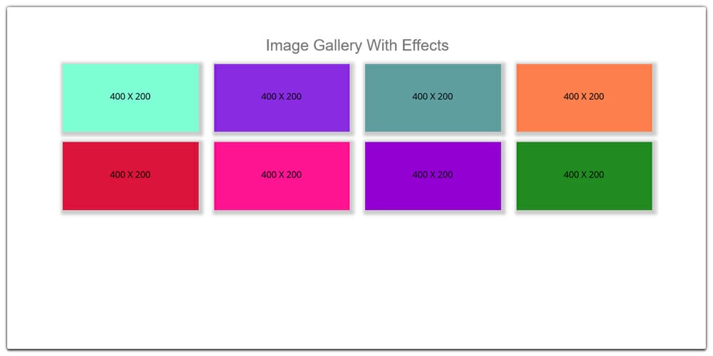Image Gallery With Effects