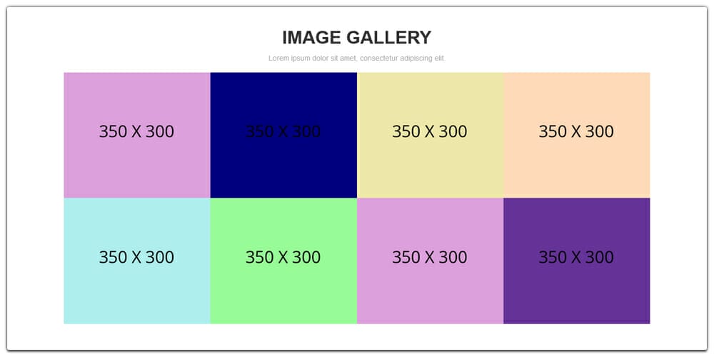 Bootstrap 5 Gallery Examples & Freebies 1