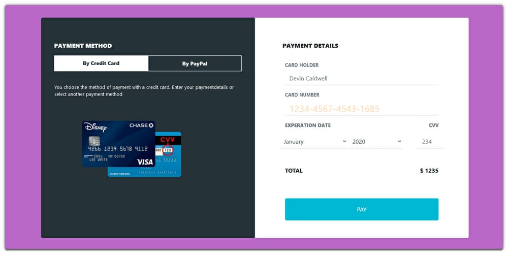 Payment form With Icon