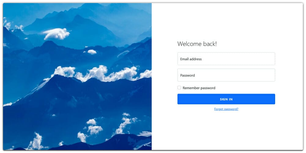 Sign In Page with Split Screen