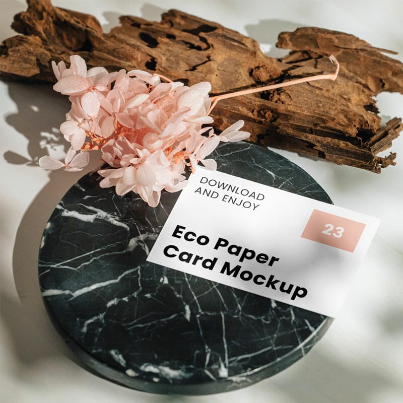 Free Business Card On Circle Mockup PSD