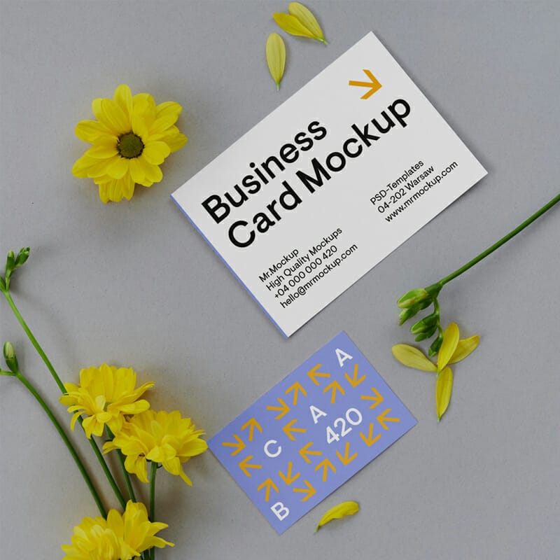 Free Business Cards On Floor Mockup PSD