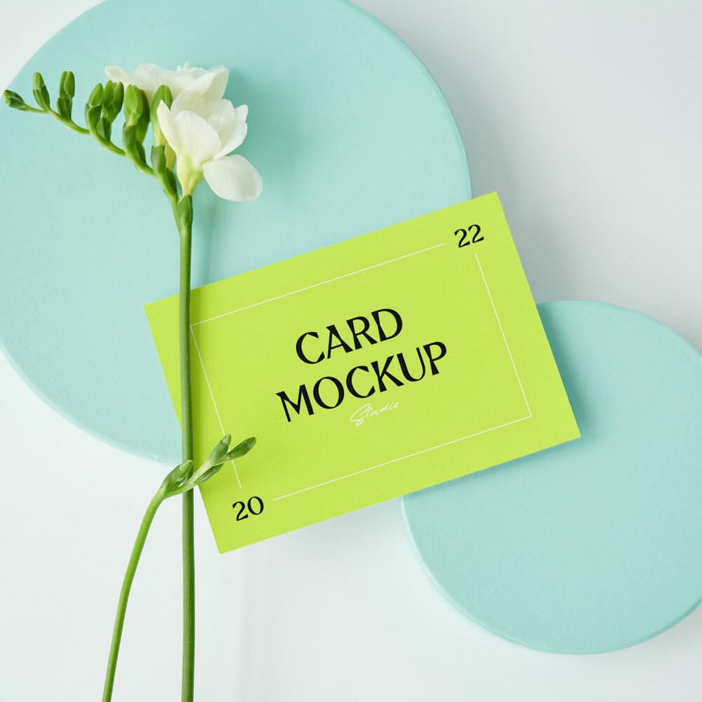 Free Card On Circle Paper Box Mockups PSD