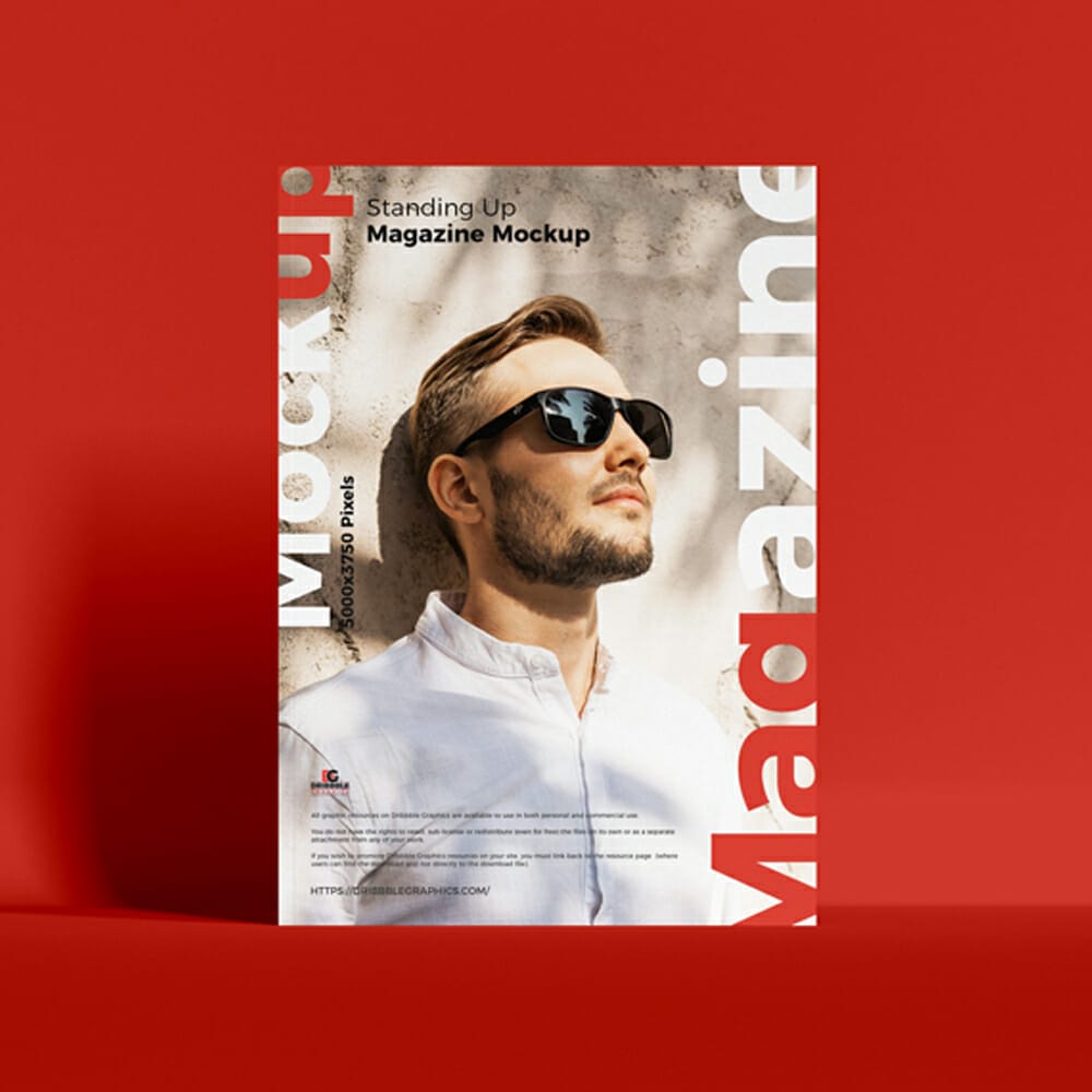 Free Standing Up Magazine Mockup PSD