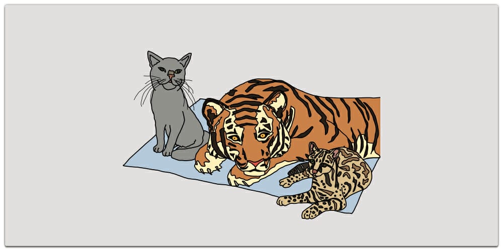 Best Free JavaScript Books »CSS Author