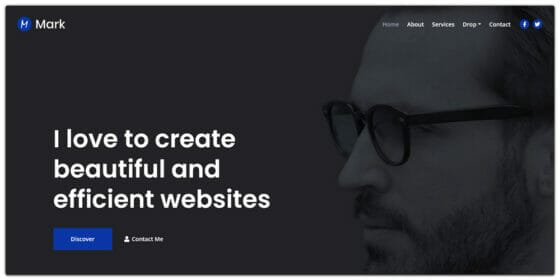 Free Bootstrap Portfolio Templates » CSS Author