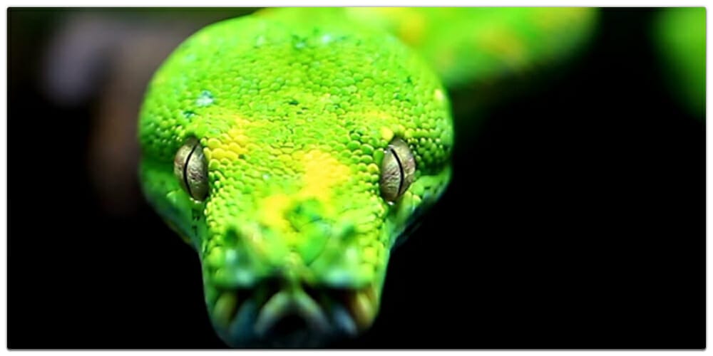 The Python Interview Handbook 2023