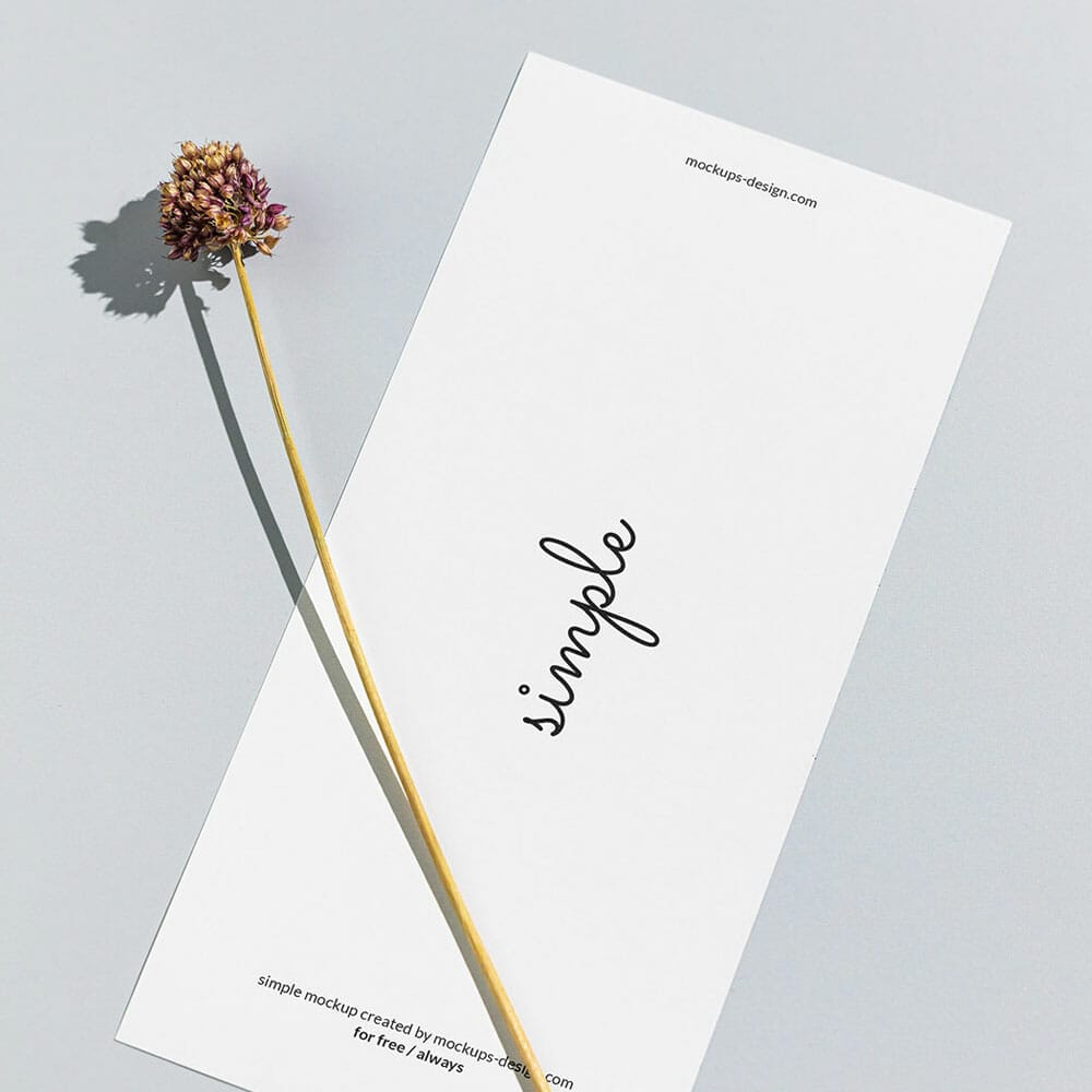 Free DL Flyer With Dried Flower Mockup PSD