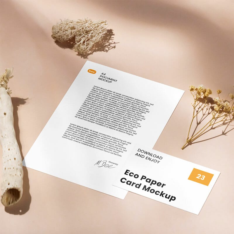 Free Letterhead With Card Mockup PSD