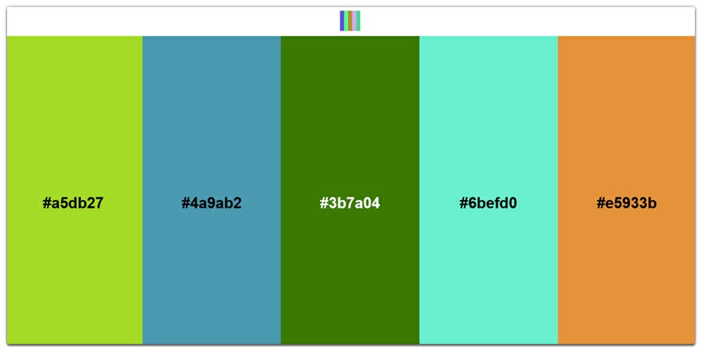 Random Color Palettes