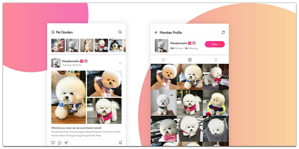 Roxi Social App UI PSD for Pet Lover