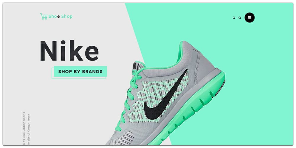 eCommerce Website Template PSD