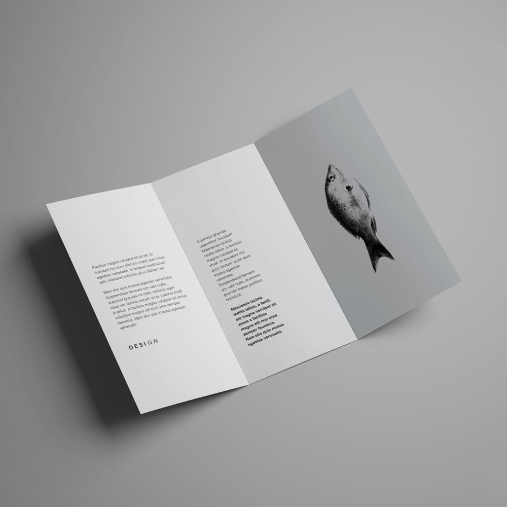 Advanced Trifold Brochure Mockup PSD