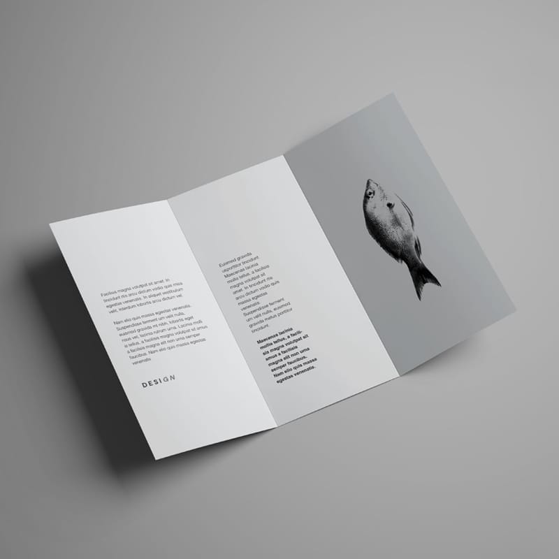 Advanced Trifold Brochure Mockup