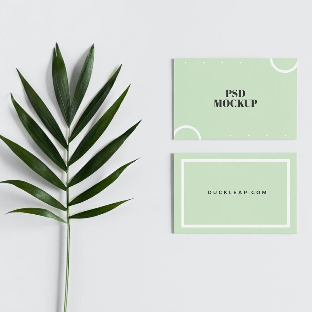 Minimal Front and Back Business Card Mockup PSD