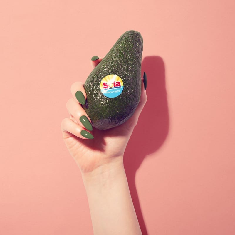 Avocado Fruits Sticker Mockup