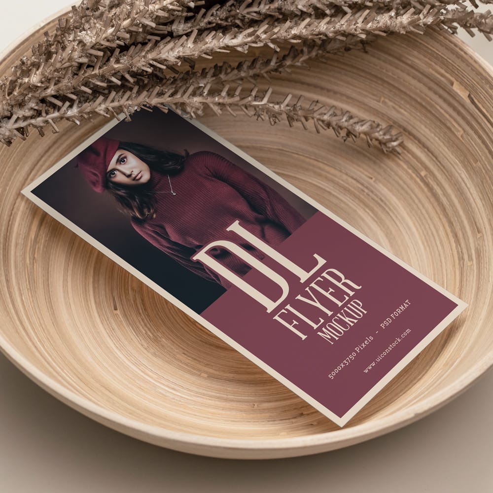 Bowl Containing Dl Flyer Mockup PSD