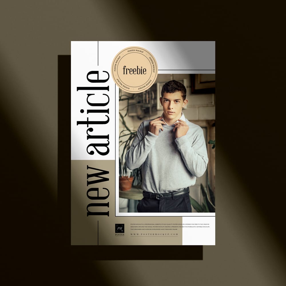 Free Shadow A3 Poster Mockup PSD