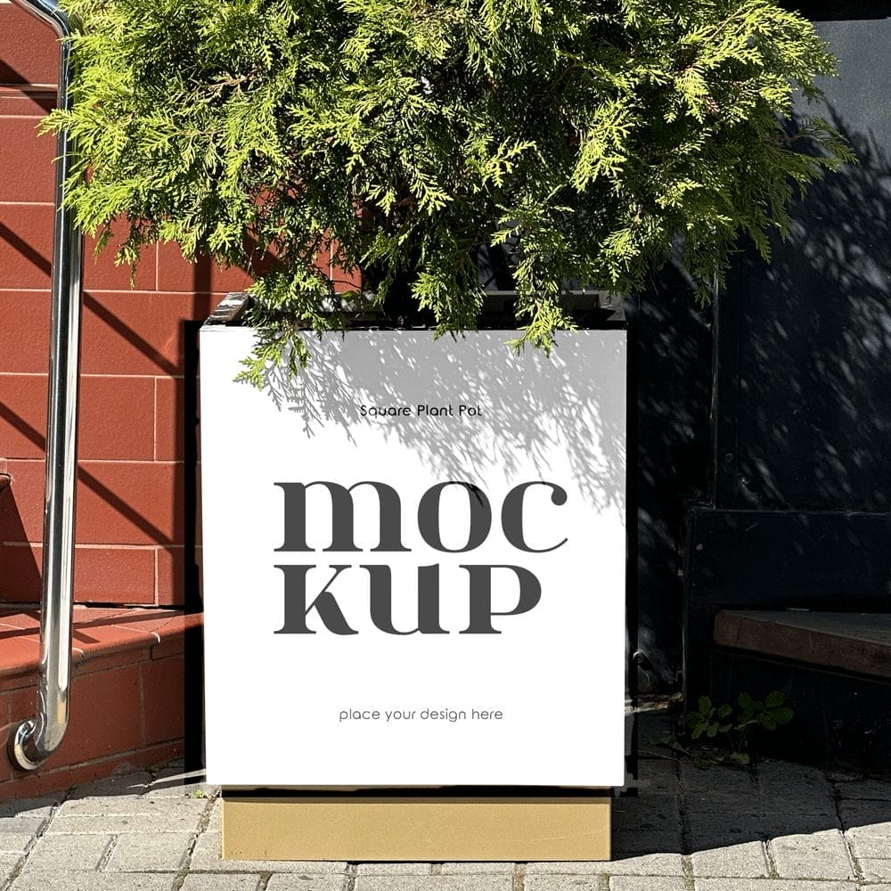 Free Square Plant Pot Mockup PSD