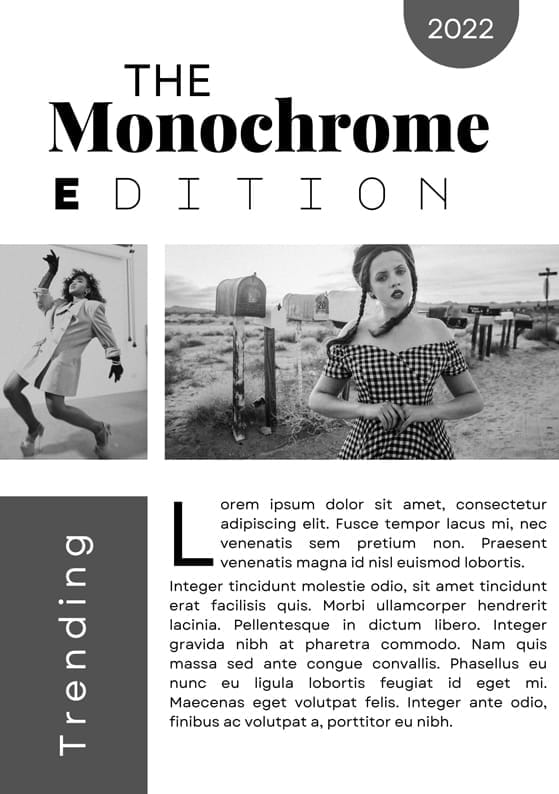 Vintage Monochrome Fashion Magazine Poster 