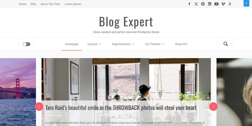 Blog Expert
