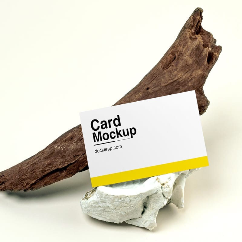 Business Card on Wood Branch Mockup PSD