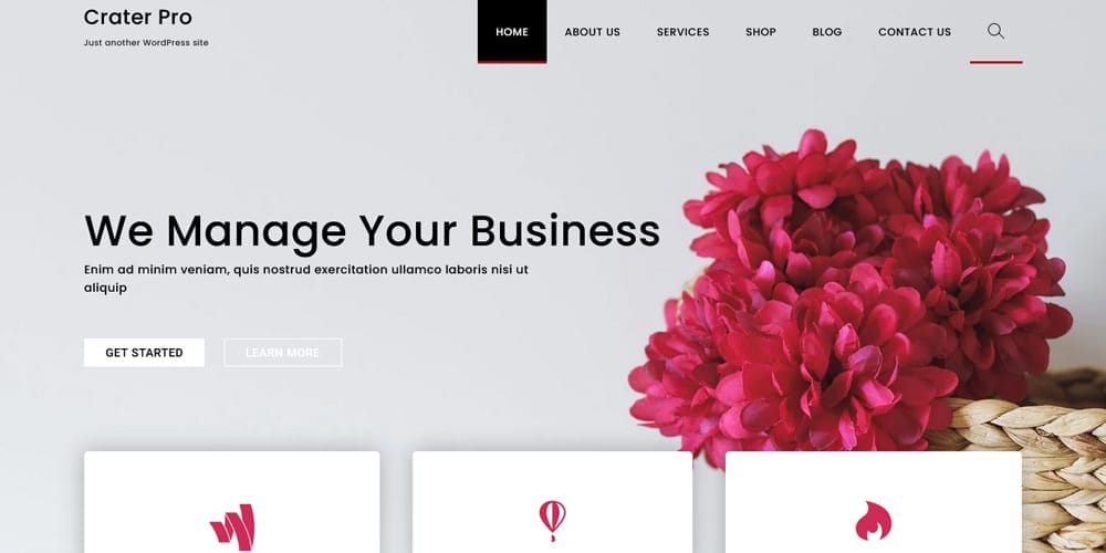 Crater WordPress Theme
