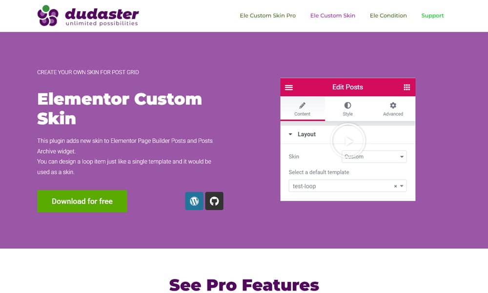 Elementor Custom Skin