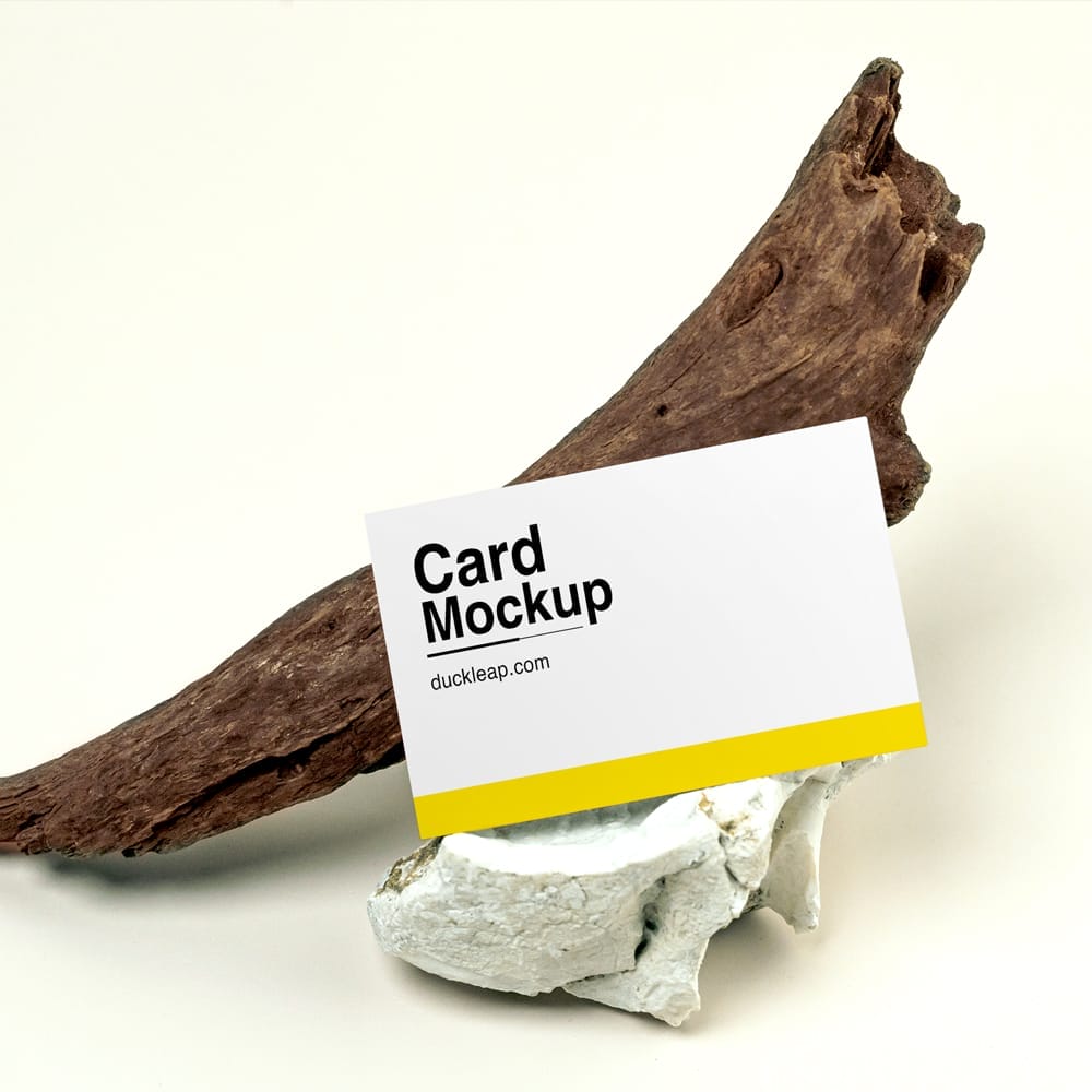 Free Business Card on Wood Branch Mockup PSD