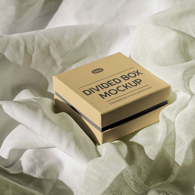 Perspective Divided Box Mockup PSD