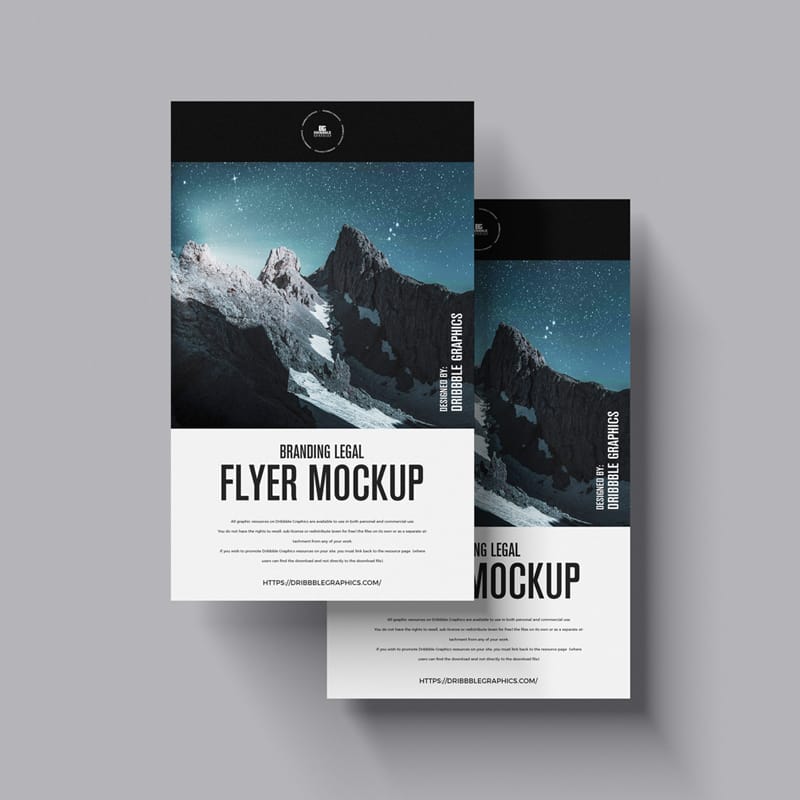 Branding Legal Flyer Mockup PSD