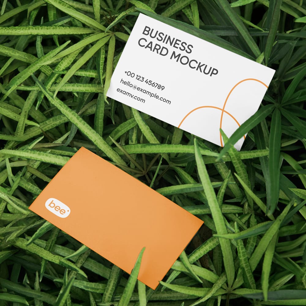 Free Business Card in Grass Mockups PSD