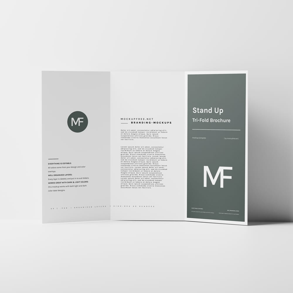 Free Stand Up Tri-Fold Brochure Mockups PSD
